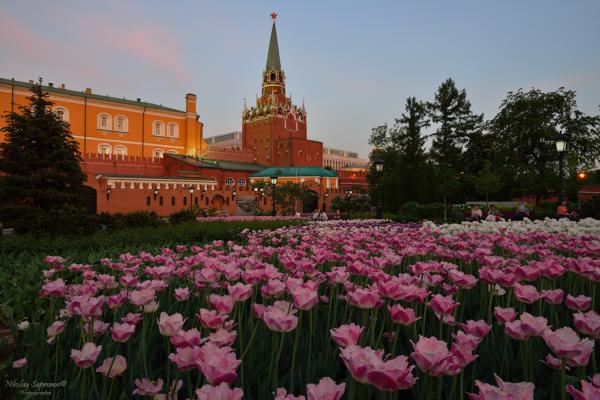 Интернет Магазин Москвы Красота